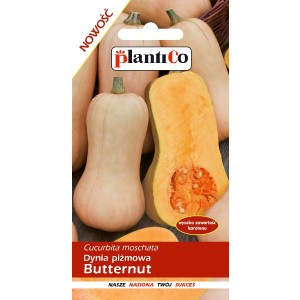 Dynia Piżmowa Butternut 2g PlantiCo