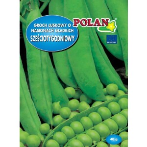Groch Siewny Łuskowy Sześciotygodniowy Nasiona 40g Polan