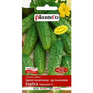 Ogórek Gruntowy Soplica 5g PlantiCo