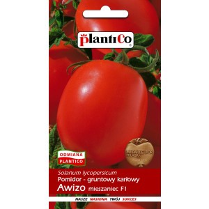 Pomidor Gruntowy Awizo 0,5g PlantiCo