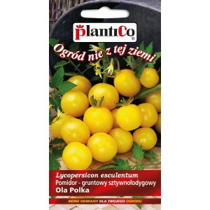 Pomidor Gruntowy Ola Polka 0,5g PlantiCo