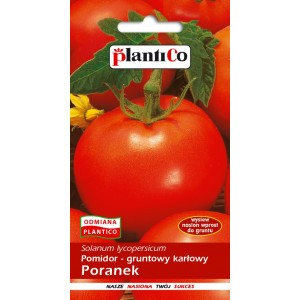 Pomidor Gruntowy Poranek 1g PlantiCo