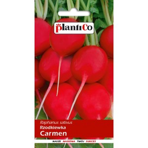 Rzodkiew Carmen 10g PlantiCo