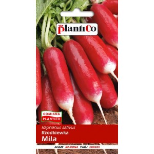 Rzodkiewka Mila 10g PlantiCo