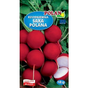 Rzodkiewka Saxa Polana Nasiona 10g Polan
