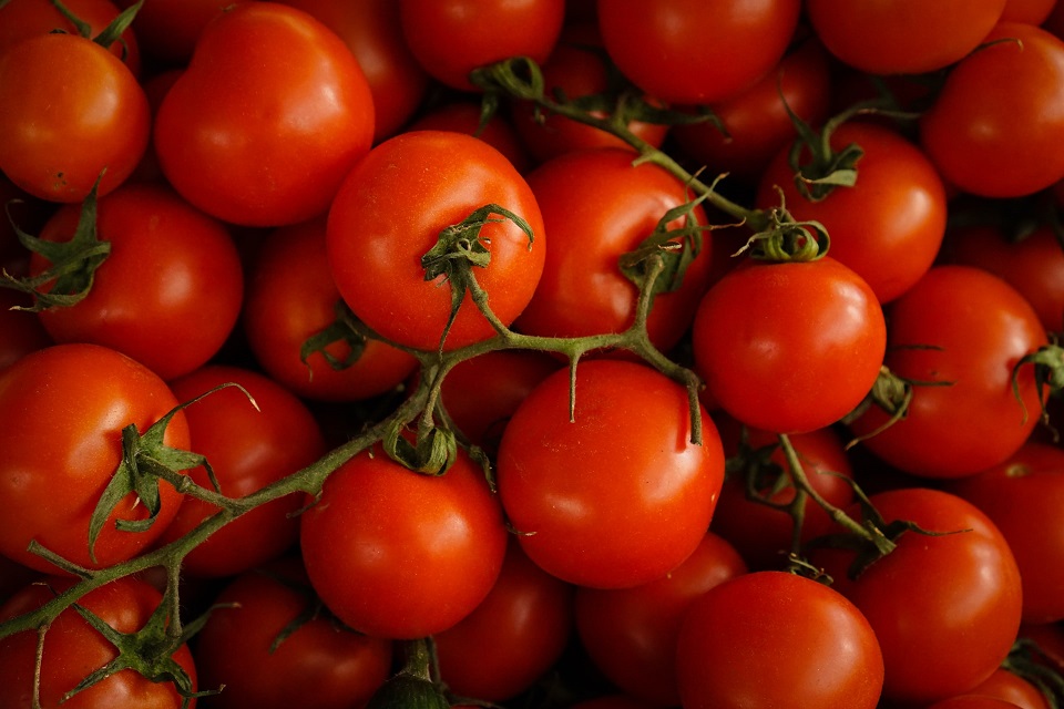 Pomidory w ogrodzie - odmiany, wysiew i uprawa