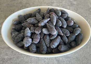 Jagoda kamczacka podbija polskie ogrody. Jak uprawiać i zbierać rekordowe plony?