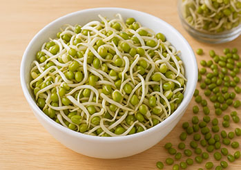 Kiełki fasoli mung - właściwości, jak uprawiać i jak je jeść? Kompletny poradnik