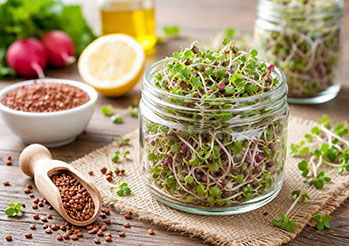 Kiełki rzodkiewki - właściwości, jak je hodować i dlaczego warto je jeść