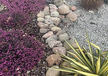 Kora czy kamyki do ogrodu - porównanie, ceny, zalety i wady