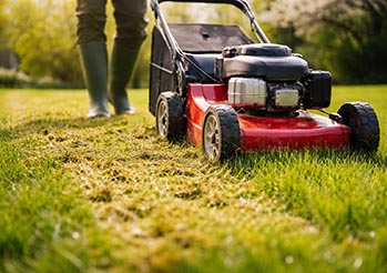 Największy błąd podczas pierwszego koszenia trawnika. Zobacz, jak tego uniknąć