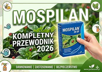 Mospilan 20 SP: Dawkowanie, Termin i Zastosowanie. Kompletny Przewodnik (2026)