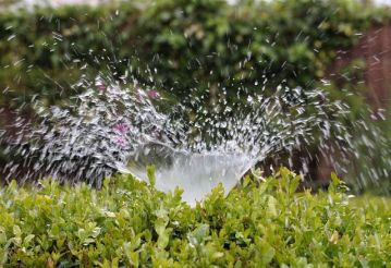 Sprawdzone metody na tanie nawadnianie ogrodu