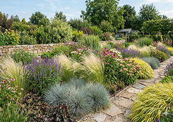 Niskie trawy ozdobne do ogrodu - 15 hitów, idealnych do ogrodu i donic