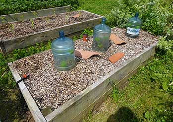 Ogród No-dig: Jak zacząć uprawę bez przekopywania w maju?