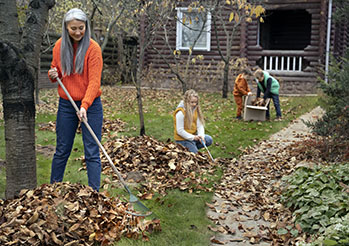 Październik w ogrodzie - Kalendarz ogrodnika podpowiada co zrobić w ogrodzie w październiku! Prace ogrodowe październik