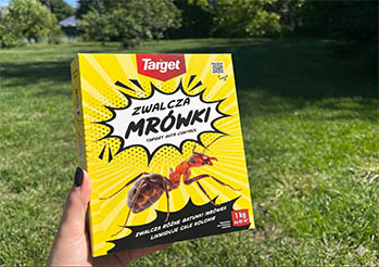 Najlepsze produkty Target na mrówki - ranking skutecznych preparatów