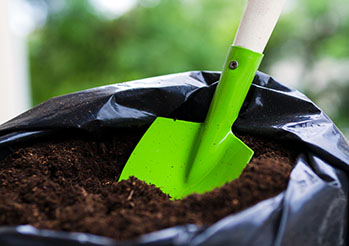 Torf ogrodniczy - Rodzaje i zastosowanie w ogrodzie. Jak wykorzystać torf kwaśny i torf odkwaszony?