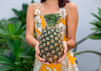 Jak rośnie ananas? Poradnik uprawy ananasa od sadzonki po owoc