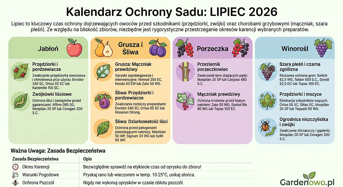 Kalendarz oprysków drzew owocowych 2026 lipiec