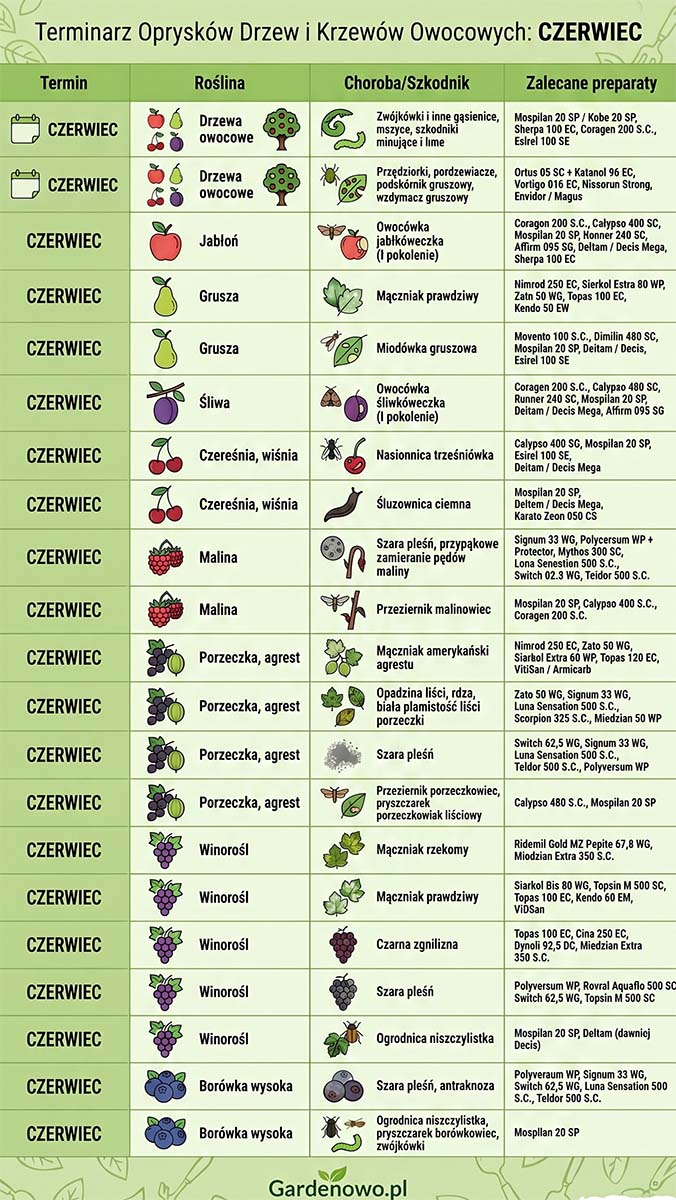 Terminarz oprysków drzew owocowych 2026 czerwiec tabela Gardenowo