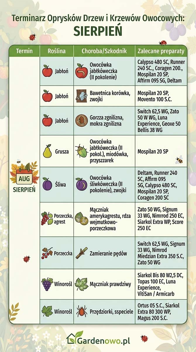 Terminarz opryskow drzew owocowych 2026 sierpien tabela Gardenowo