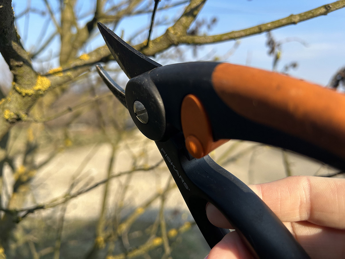 błędy w przycinaniu