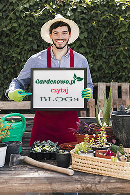 Blog Ogrodniczy Gardenowo.pl 