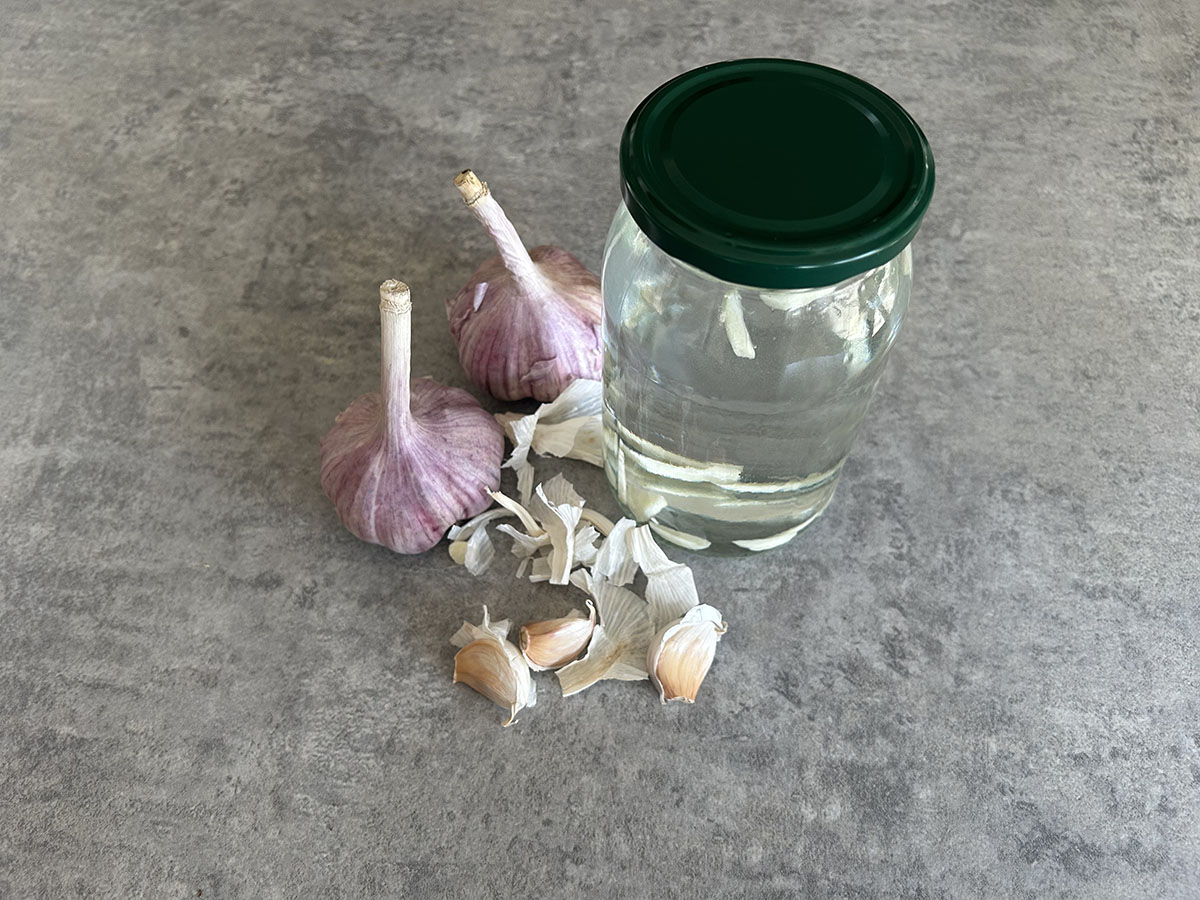 Jak zrobić nawóz z czosnku jakzrobicnawozzczosnku