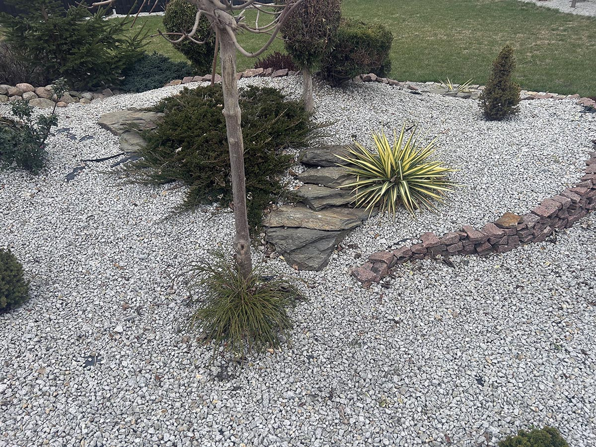 kamyki ozdobne w ogordzie