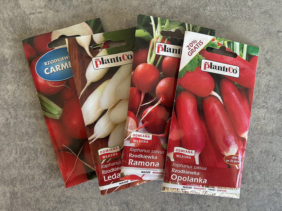 rzodkiewka nasiona
