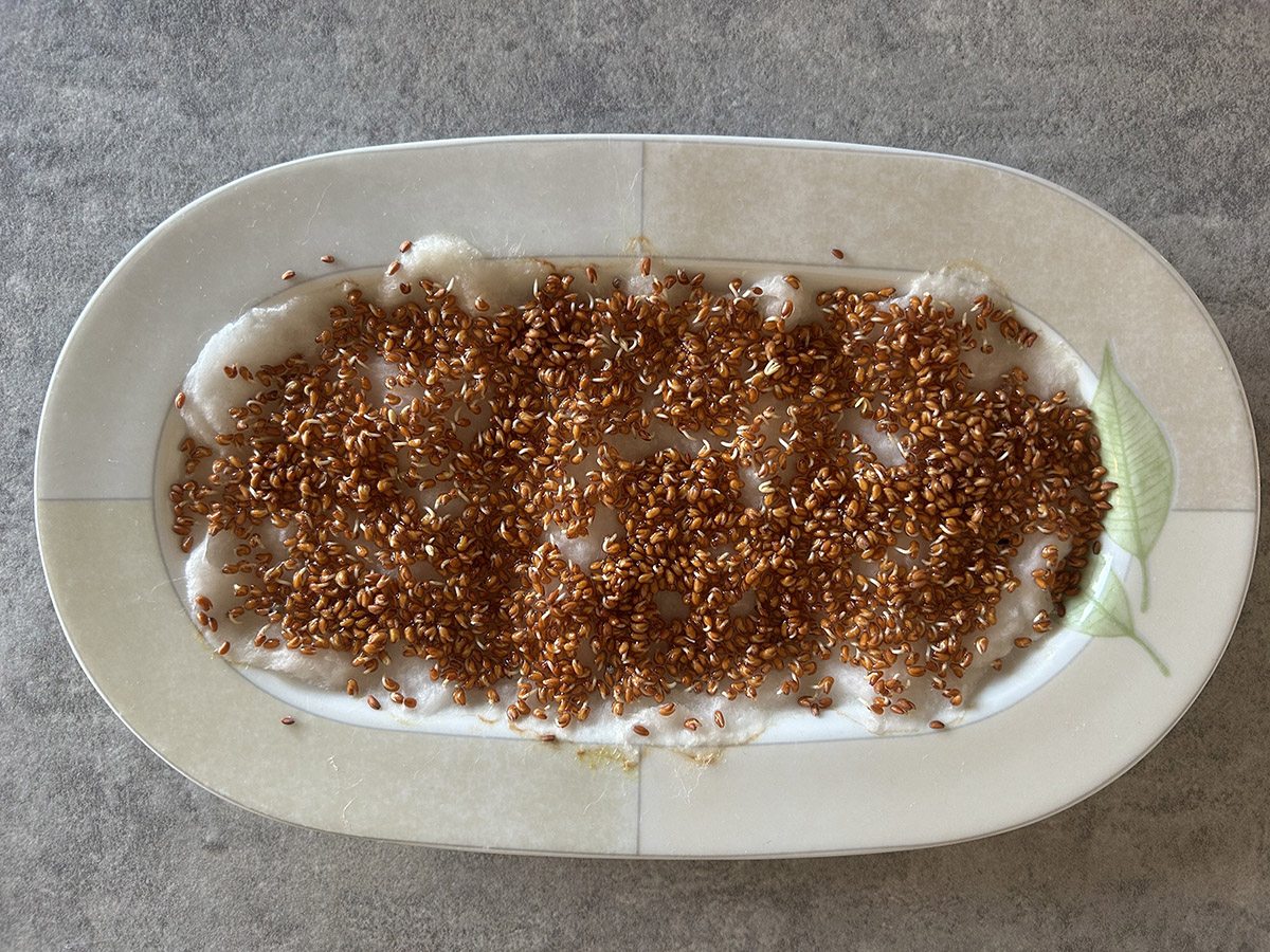 kiełkująca rzeżucha