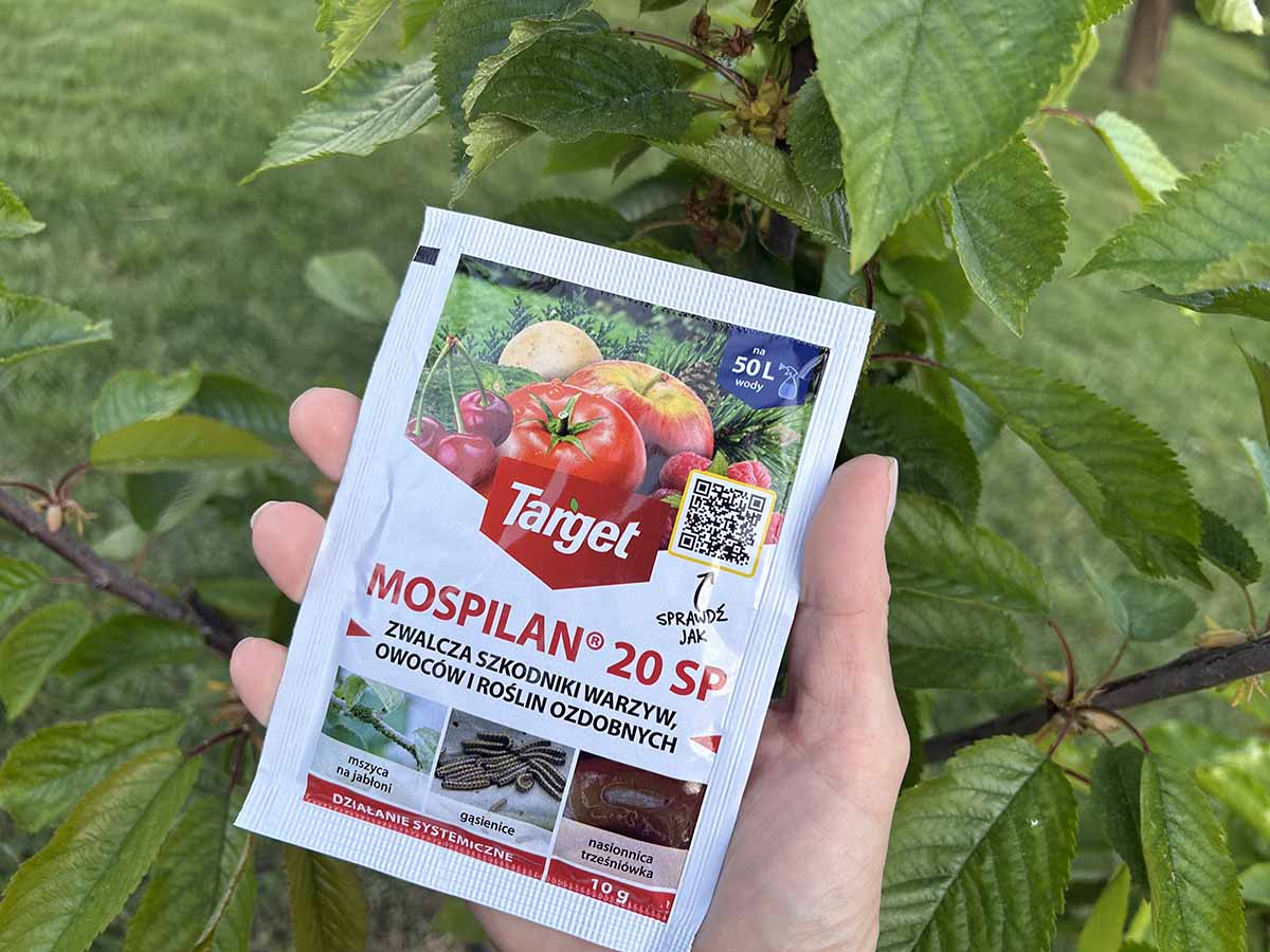 Mospilan 20 SP Target - skuteczny oprysk systemiczny Dłoń trzyma białą saszetkę środka owadobójczego Mospilan 20 SP marki Target. Na opakowaniu widoczne są ilustracje warzyw i owoców (pomidor, jabłko, czereśnie) oraz zdjęcia szkodników: mszycy na jabłoni, gąsienic i nasionnicy trześniówki. W tle zielone liście drzewa owocowego w ogrodzie.