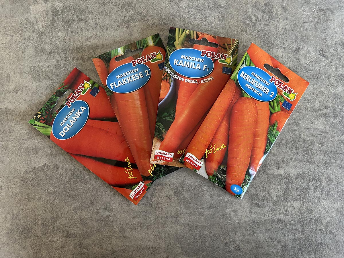 nasiona marchwi