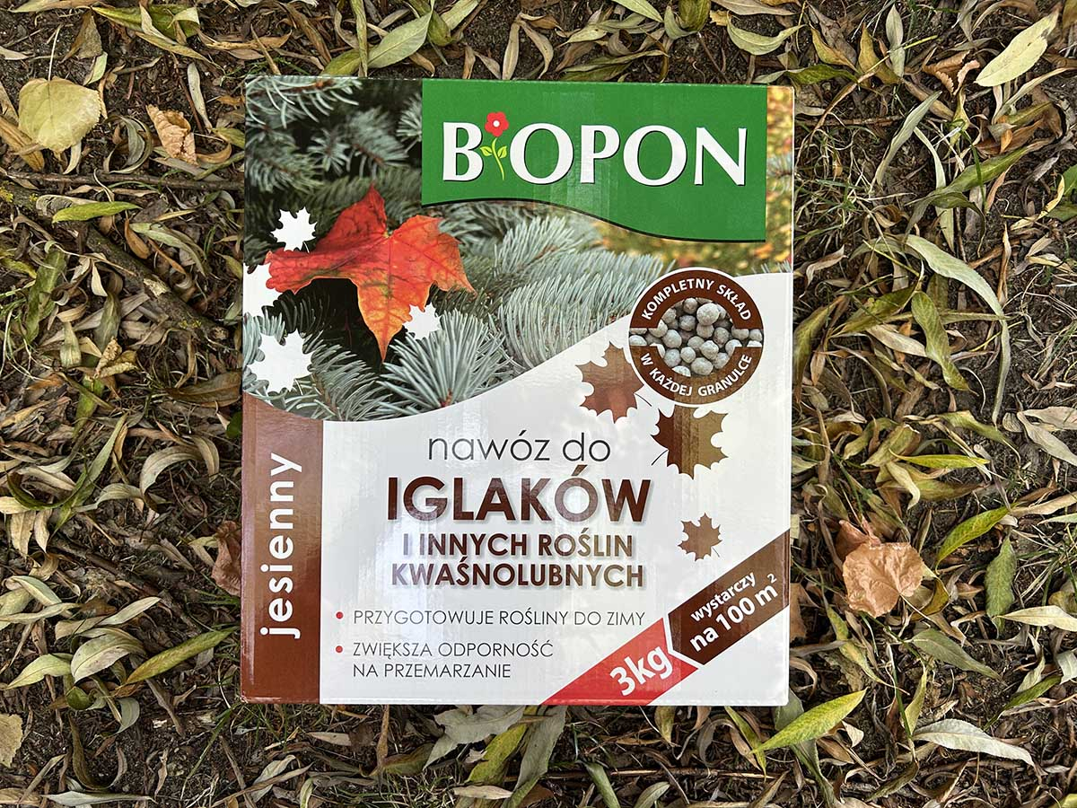 Kiedy stosować nawóz jesienny do iglaków Opakowanie nawozu jesiennego do iglaków Biopon na tle jesiennych liści