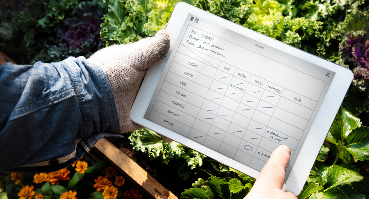 ogrodnik trzyma w rece kalendarz ogrodnika i wpisuje daty sadzenia roslin i warzyw