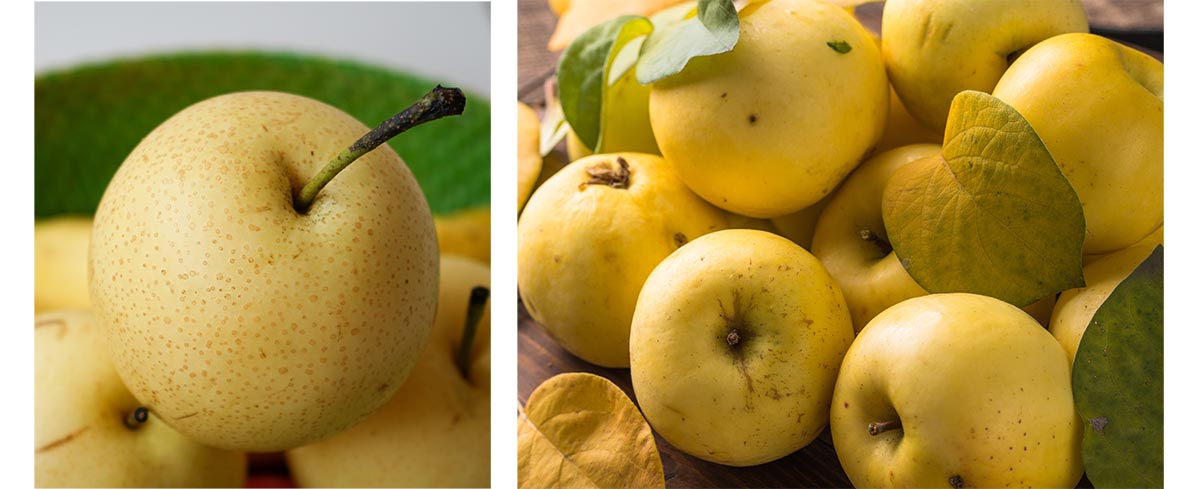 Porównanie wyglądu owoców gruszy azjatyckiej nashi oraz tradycyjnych jabłek.
