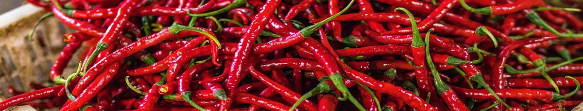 papryka chilli