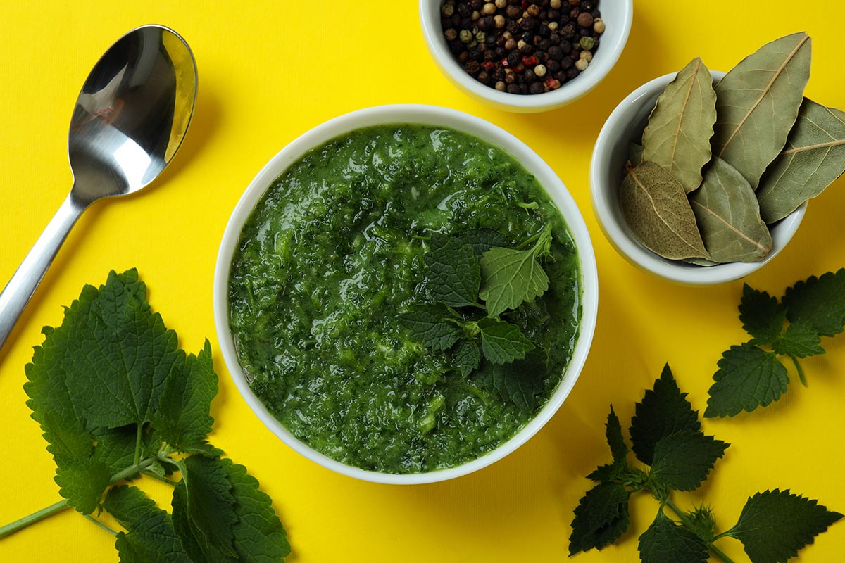 Pesto z pokrzyw w miseczce, domowe wykorzystanie chwastów jadalnych