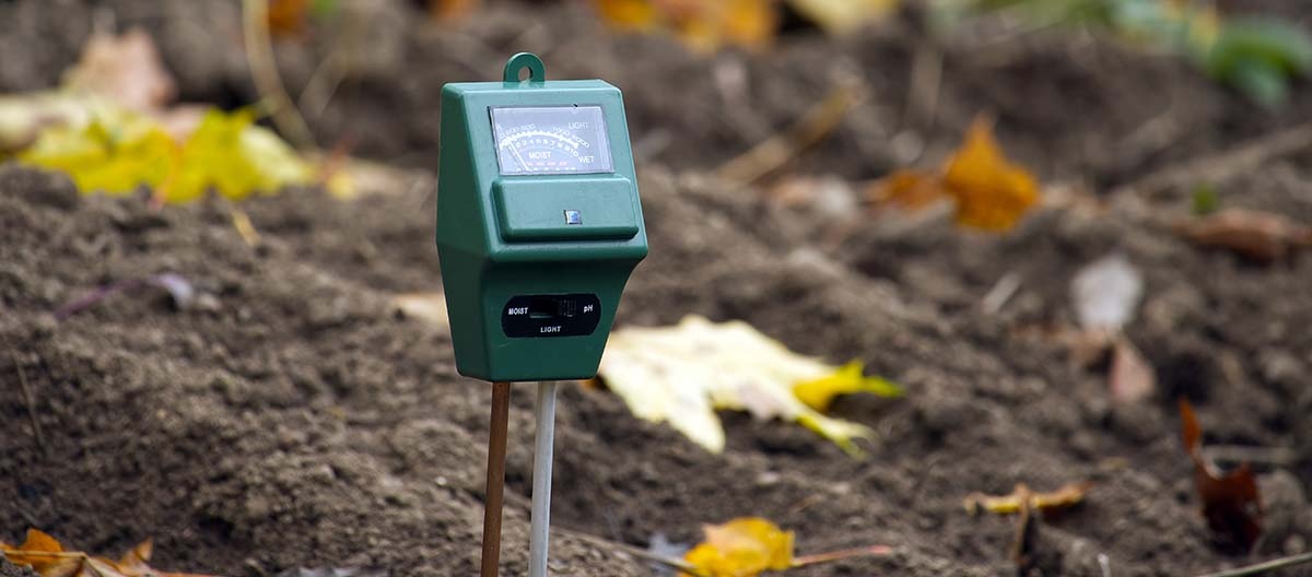 Termometr ogrodniczy wbity w ziemię na grządce, wskazujący temperaturę podłoża pod ogórki.