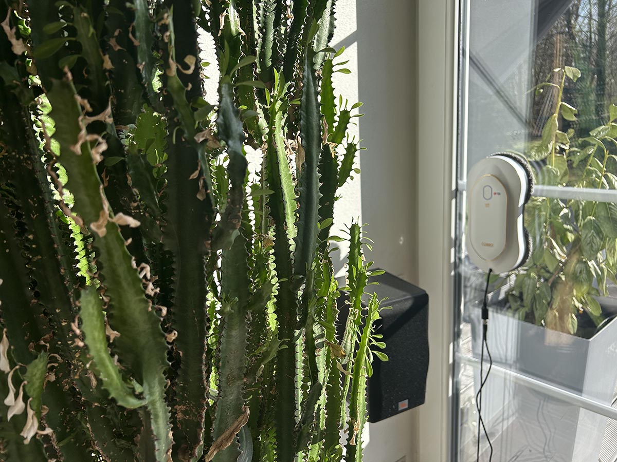 robot cobbo na szybie