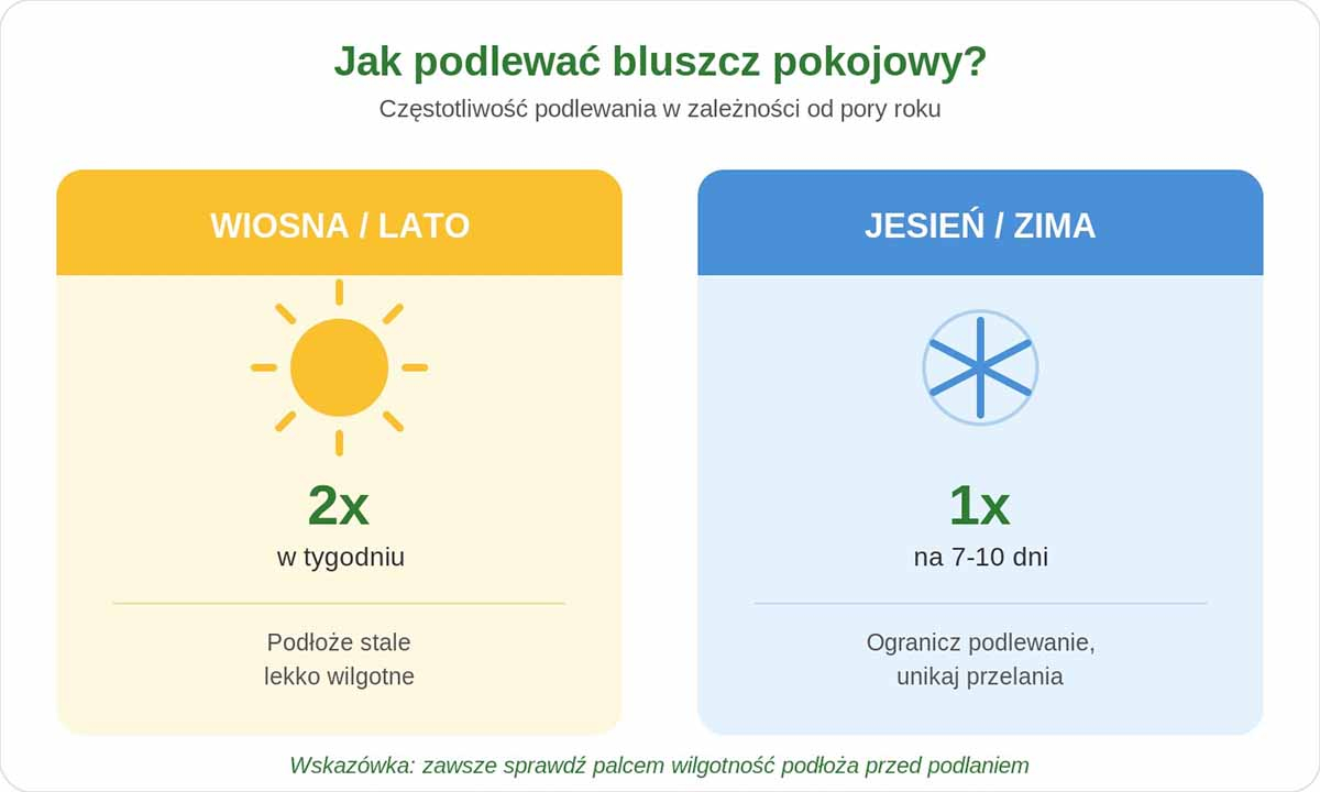 schemat podlewania bluszczu pokojowego schemat podlewania bluszczu pokojowego