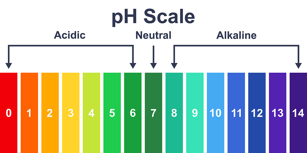 kolorowa skala ph na której są wartości zasadowości kwasowości