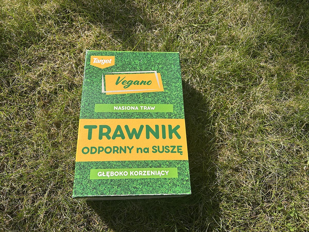 Trawa odporna na suszę nasiona trawy odporne na suszę