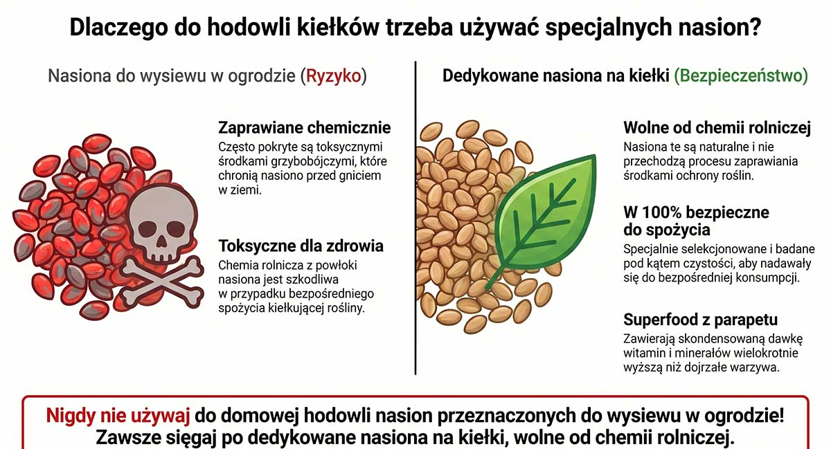 Infografika porównująca dwa rodzaje nasion. Po lewej czerwone, zaprawiane chemicznie nasiona do gruntu z symbolem ostrzegawczym (czaszka). Po prawej naturalne, brązowe nasiona z zielonym listkiem z napisem "Nasiona na kiełki - w 100% bezpieczne do spożycia".