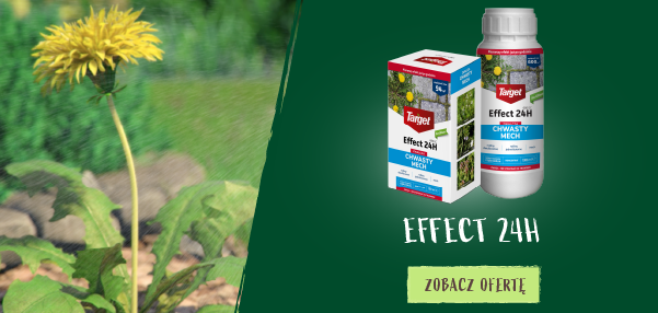 Effect24 Target